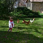 Relais Ciavatta Country