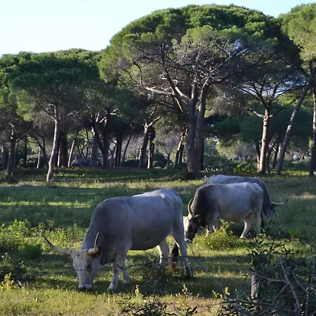 Ξενοδοχείο Relais Ciavatta Country Montemerano