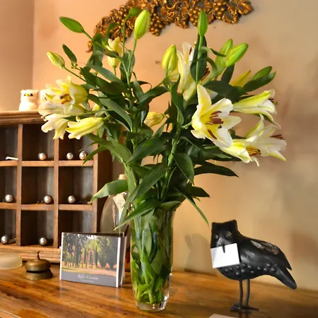 Relais Ciavatta Country 3*